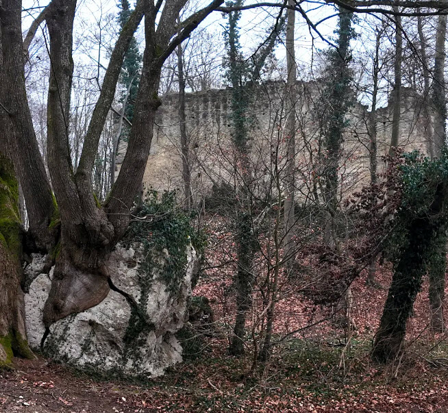 Burgruine Steinhart, Germany